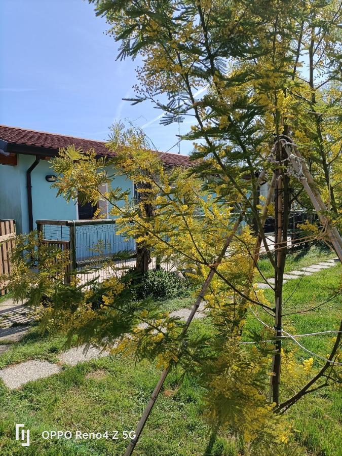 Casa Oasi Διαμέρισμα Villa Cameroni Εξωτερικό φωτογραφία